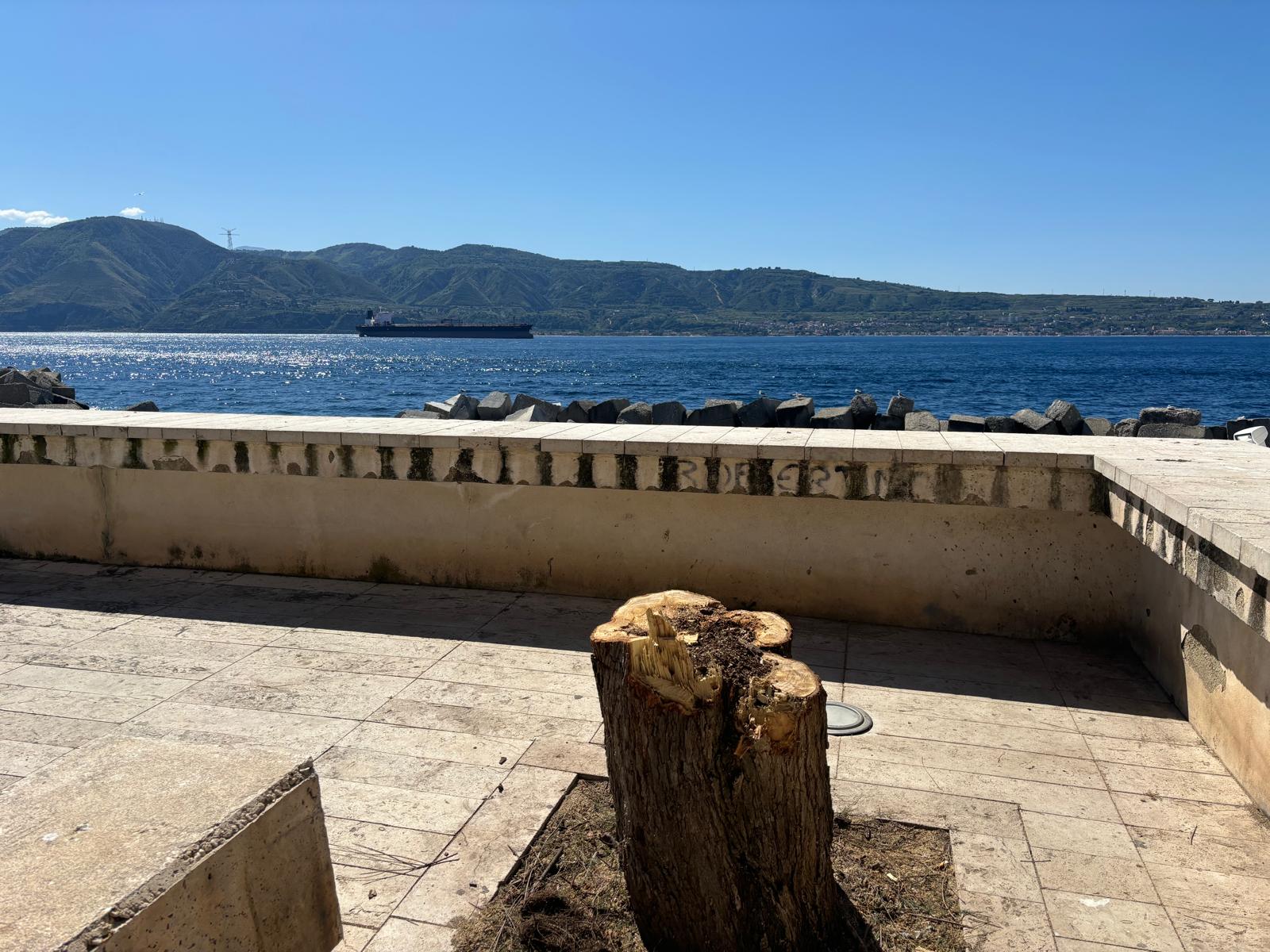 Torre Faro: ancora un albero abbattuto, ancora una ferita inferta al territorio